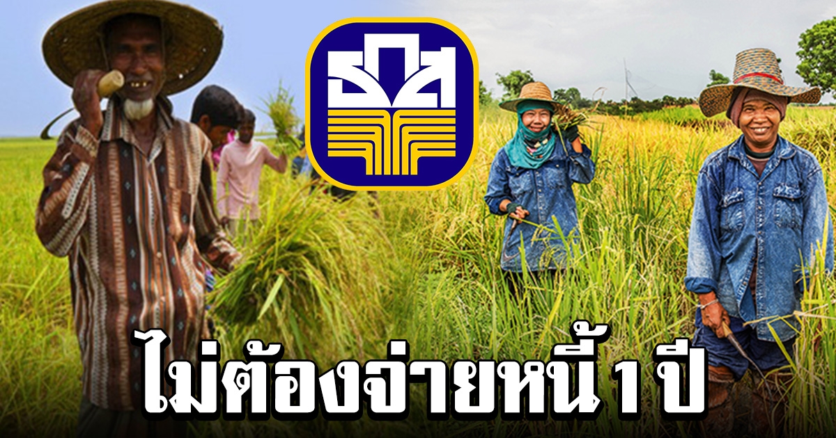 ธกส พักหนี้ช่วยเกษตรกร 1 ปี ไม่ต้องลงทะเบียน