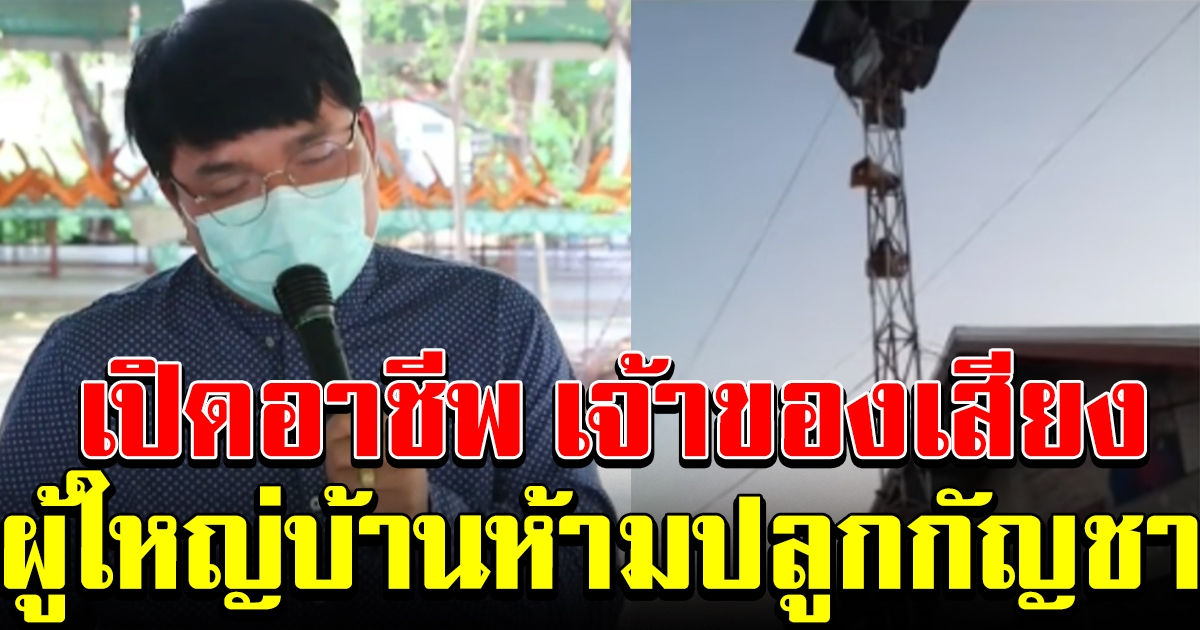 อาชีพที่แท้จริง เจ้าของเสียง ผู้ใหญ่บ้าน ประกาศห้ามลูกบ้านปลูกต้นกัญชา