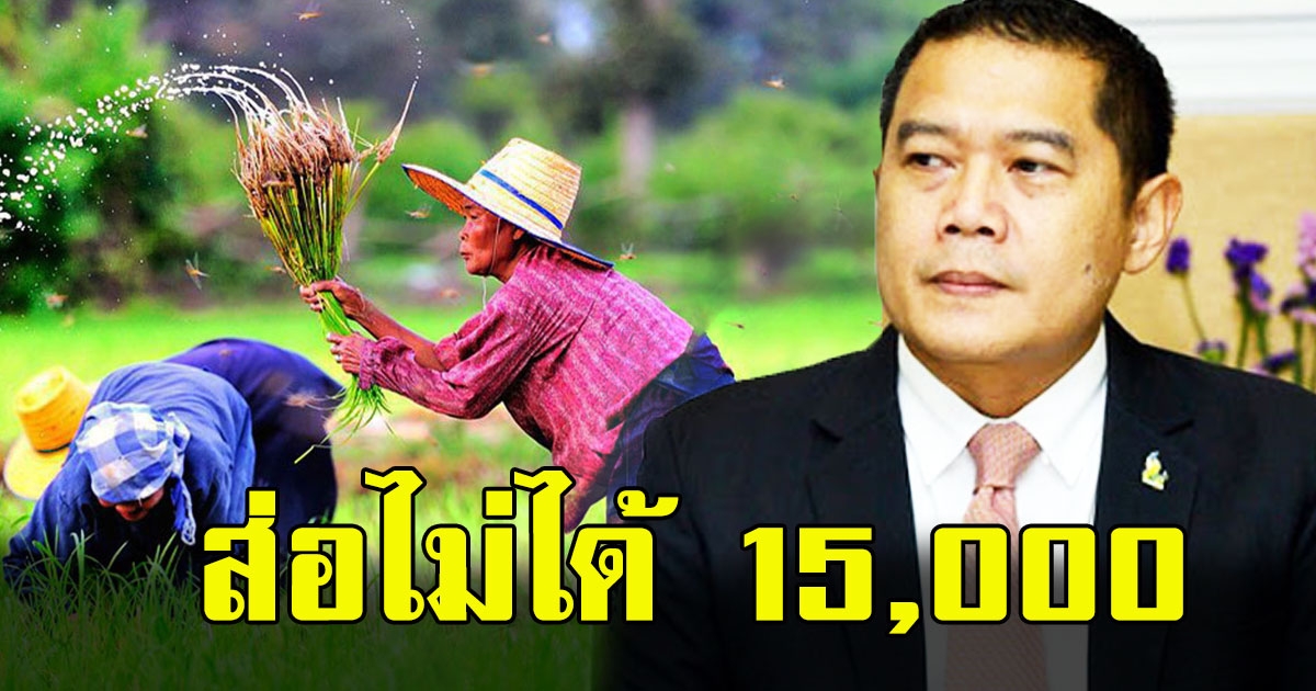 งานเข้ารีบเช็กเลย เกษตรกรเกือบ 7 แสนคน เสี่ยงพลาด 15000