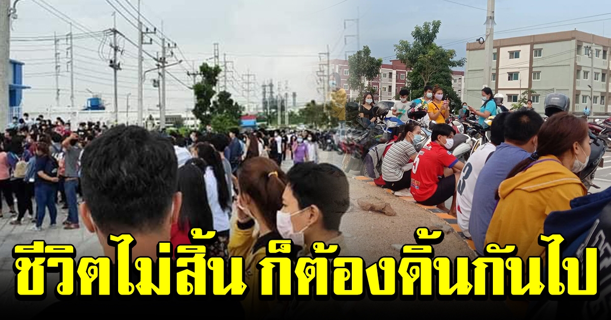 คนนับพัน ฮือสมัครงาน แต่ก็ไม่ได้สมหวังทุกคน