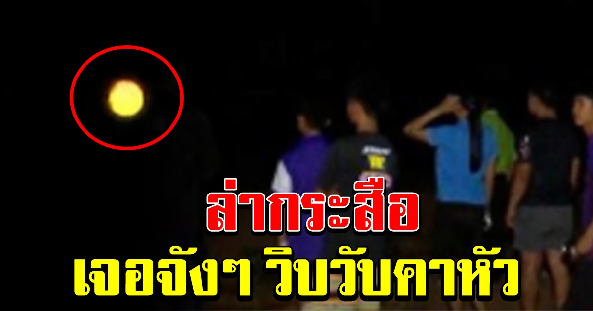 บุกพิสูจน์ ล่ากระสือกลางทุ่งนา เจอจัง ๆ วิบวับคาหัว