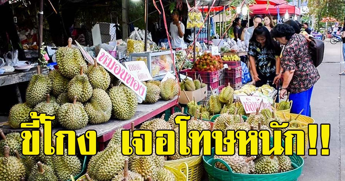งานเข้า พ่อค้าแม่ค้าทุเรียน ขายทุเรียนอ่อน ไร้คุณภาพเจอโทษหนักทั้งจำ ทั้งปรับ ใครเจอแจ้งได้เลย