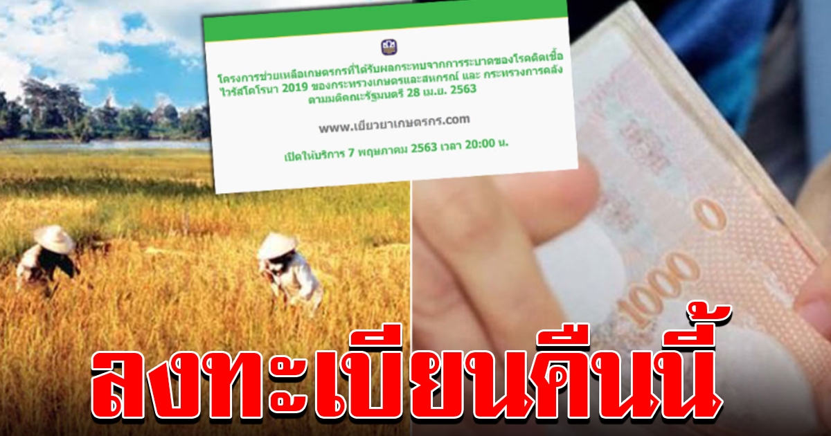 เตรียมตัวเลย ธกส เปิดลงทะเบียน เกษตรกร 15000