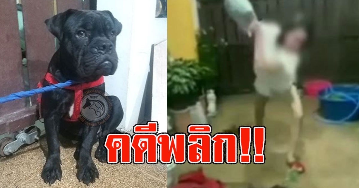 คดีพลิกเจ้าของทำร้าย นมเย็น ปรับ 10,000 จำคุก 6 เดือน