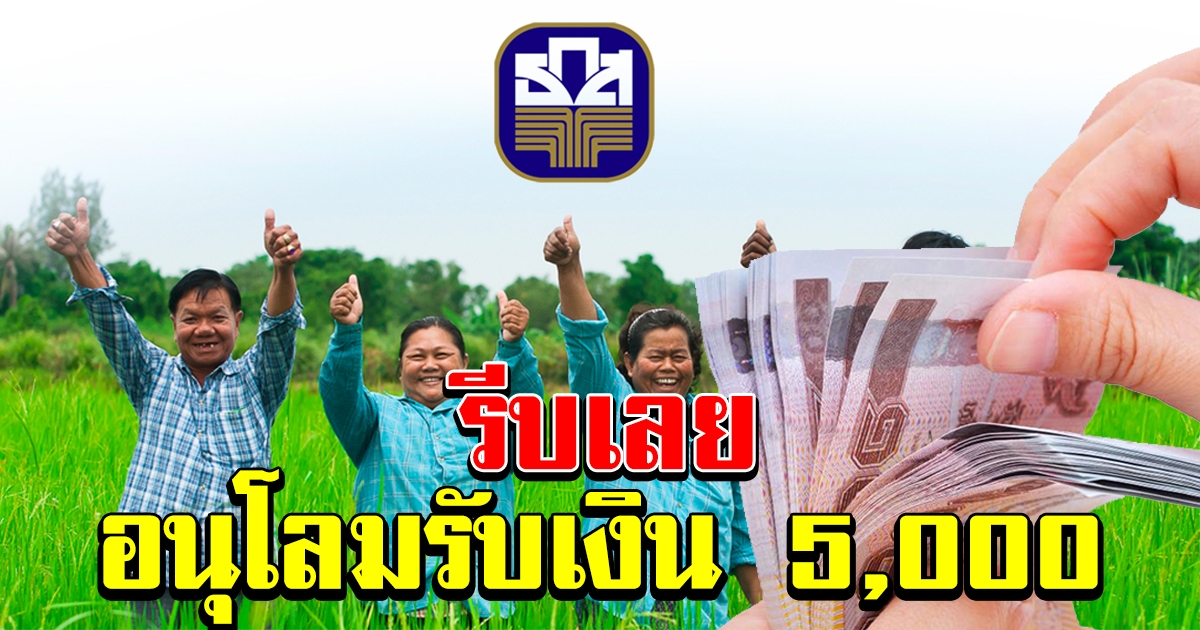 อนุโลม ปลูกข้าวปลูกพืชครบ 15 วัน ถือคุณสมบัติครบรับ 5000