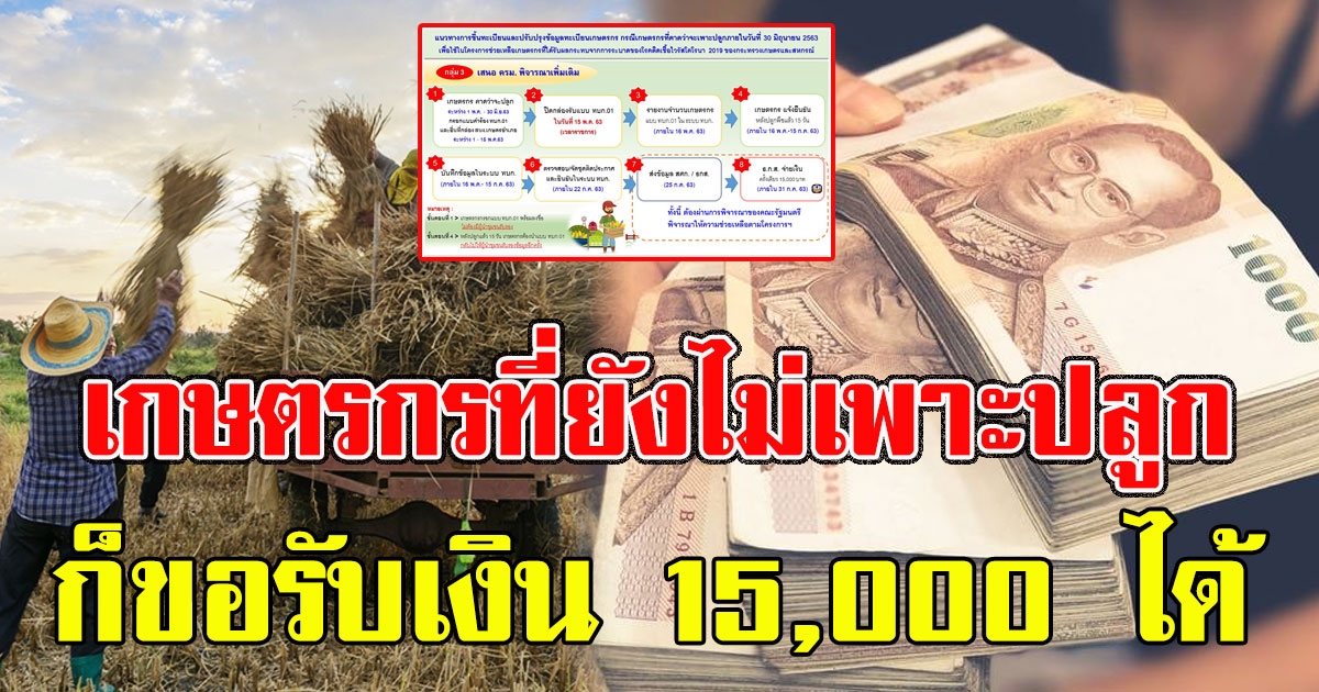 ข่าวดี เกษตรกรที่ยังไม่เพาะปลูก ก็ขอรับเงิน 15,000 ได้