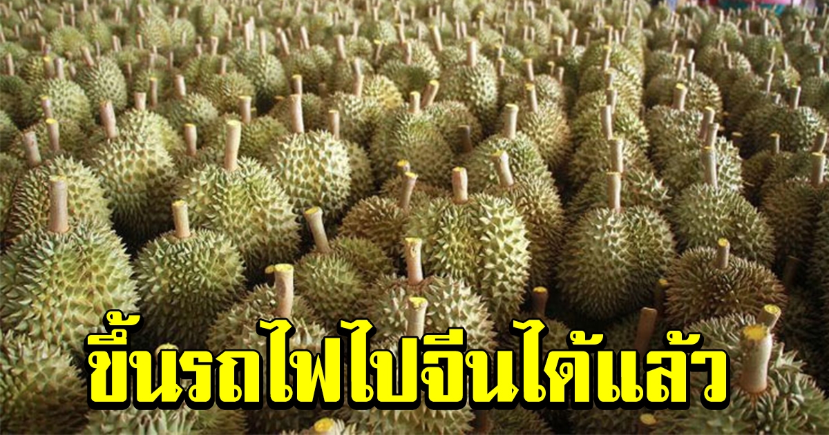 ครั้งแรกของไทย ขนทุเรียน มังคุด ขึ้นรถไฟขายจีนได้แล้ว