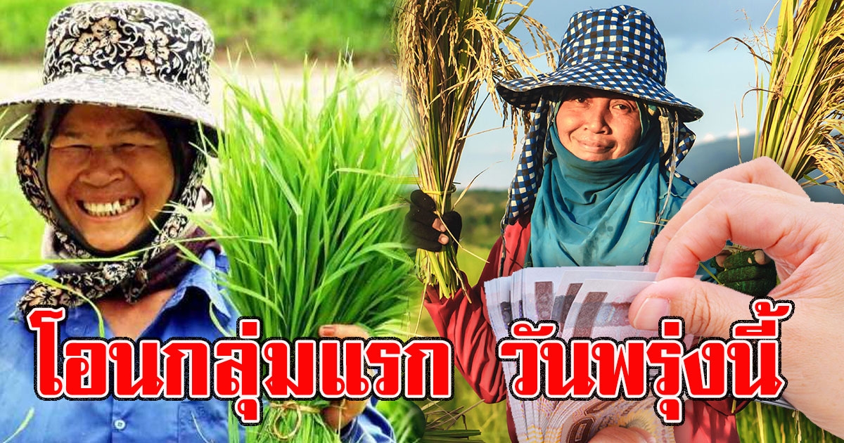 รีบเช็กเลย รมว.เกษตรฯ ยืนยัน โอนเงิน เกษตรกร 5000 กลุ่มแรก วันพรุ่งนี้