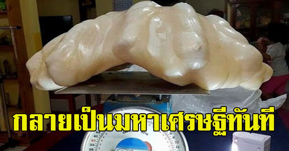 ชาวประมงเก็บวัตถุปริศนาได้ในทะเล ผ่านไป10ปี กลายเป็นมหาเศรษฐีทันที