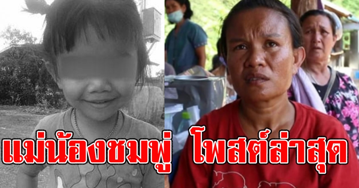 แม่น้องชมพู่ โพสต์ล่าสุด หลังเจอลูกสาว