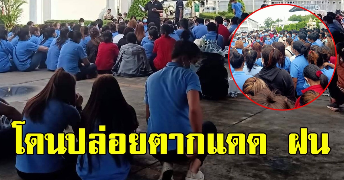 สิ่งที่พนักงาน โดนกระทำ หลังถูกลอยแพ เลิกจ้างกะทันหัน กดดันทุกทาง ปล่อยตากแดด ฝน