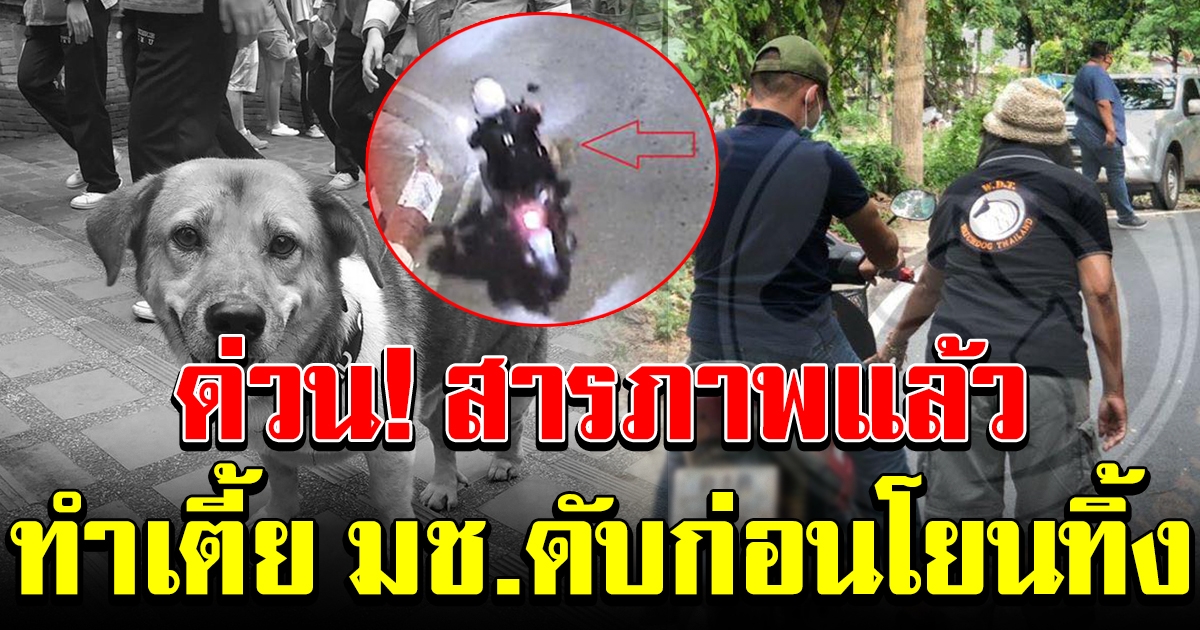 ชายในคลิปสารภาพแล้ว ทำเตี้ย มช ดับ ก่อนโยนทิ้งข้างทาง หนีความผิด