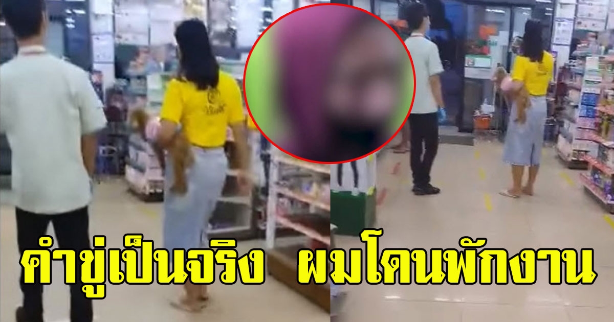 หนุ่มโพสต์คลิป ป้าไฮโซอุ้มสุนัขเข้าเซเว่นเปิดใจ ก่อนโดนพักงานป้ากร่างขู่ฝ่อเอาเรื่อง