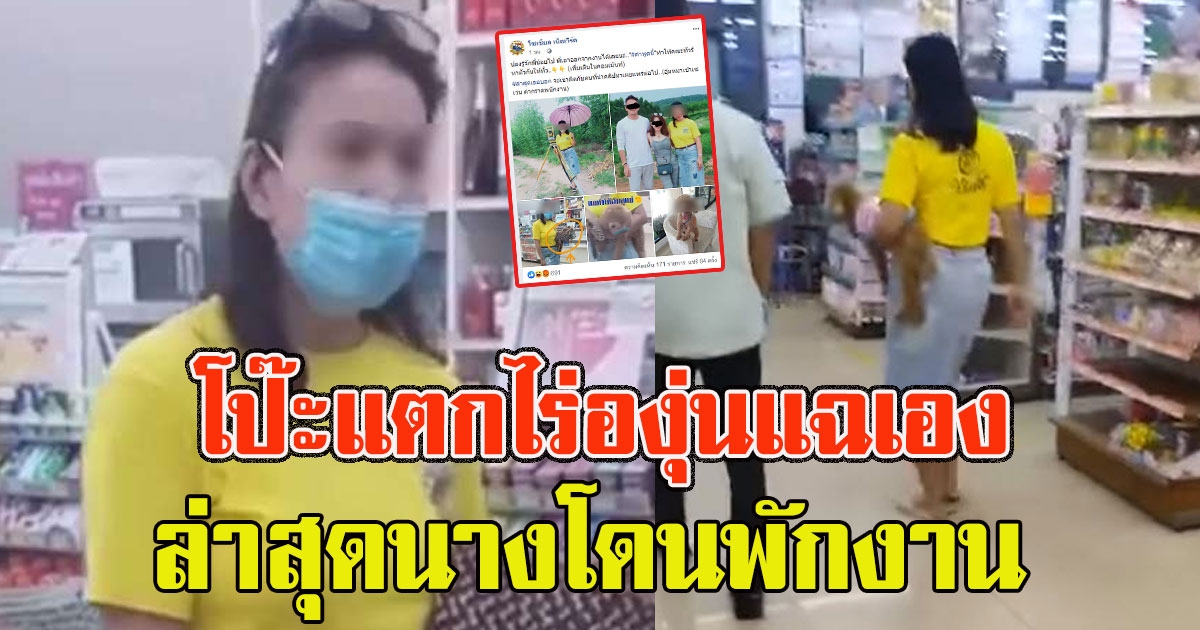 โป๊ะแตกไร่องุ่นแฉเอง ป้าไฮโซอุ้มสุนัขเข้าเซเว่น ล่าสุดนางโดนพักงาน