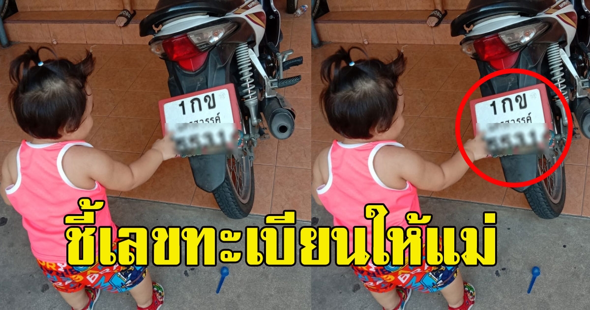 หนูน้อย ชี้เลขทะเบียนให้แม่ 1 มิถุนายนนี้ มาแน่