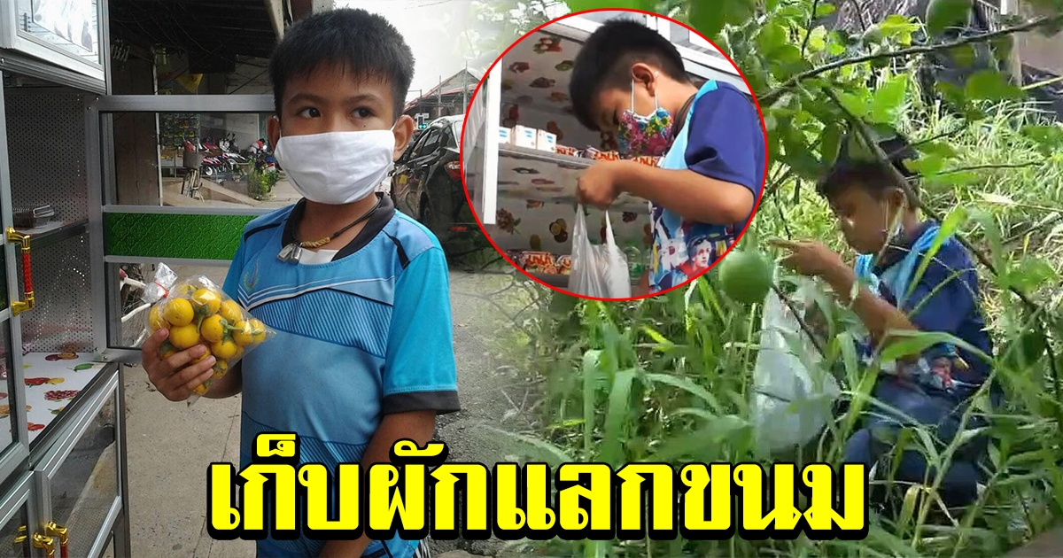 หนุ่มน้อยวัย 9 ขวบ เก็บผักแลกขนม ตู้ปันสุข