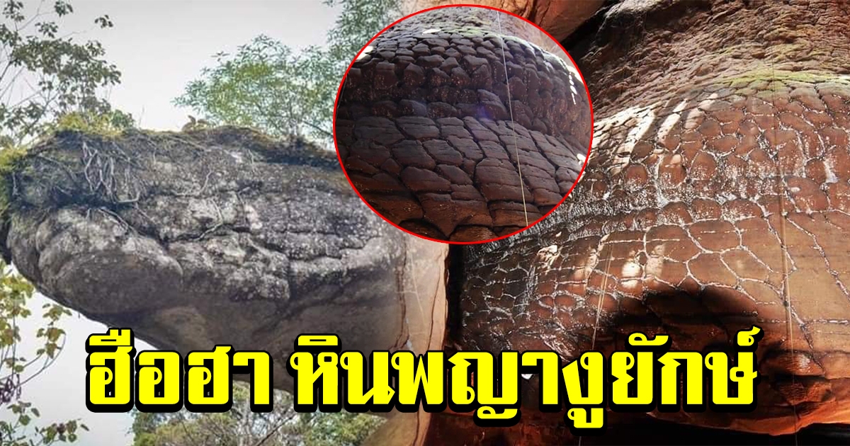 ฮือฮา หินพญางูยักษ์ ในถ้ำนาคา