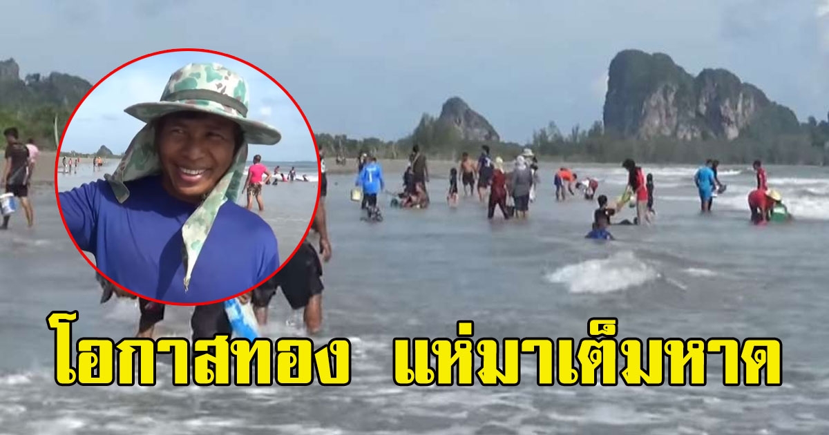 ชาวบ้านร้อยชีวิต เฝ้ารอมาทั้งปี คนเเถวนี้เขารู้กัน มีติดไม้ติดมือกลับบ้านเเบบไม่ต้องลงทุน