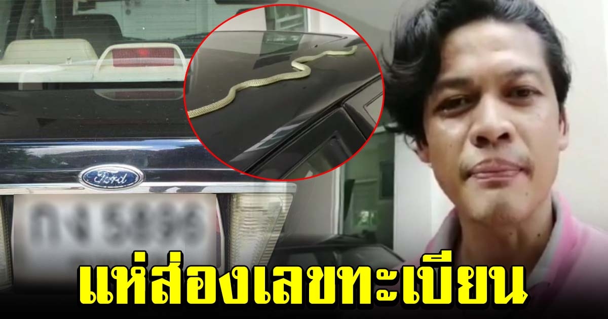 ดีเจหนุ่ม กวาดขยะเจองูเขียว เลื้อยบนหลังคารถ