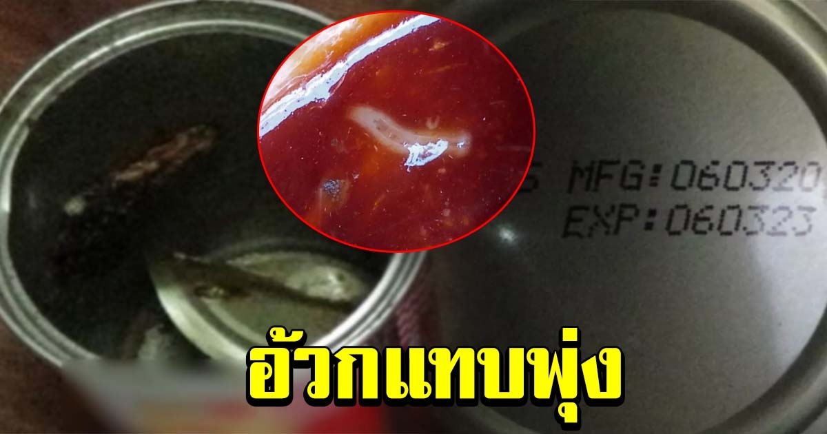 ชาวบ้านแกะปลากระป๋อง กำลังจะกินแซ่บๆ สุดท้ายงานเข้าเต็มๆ