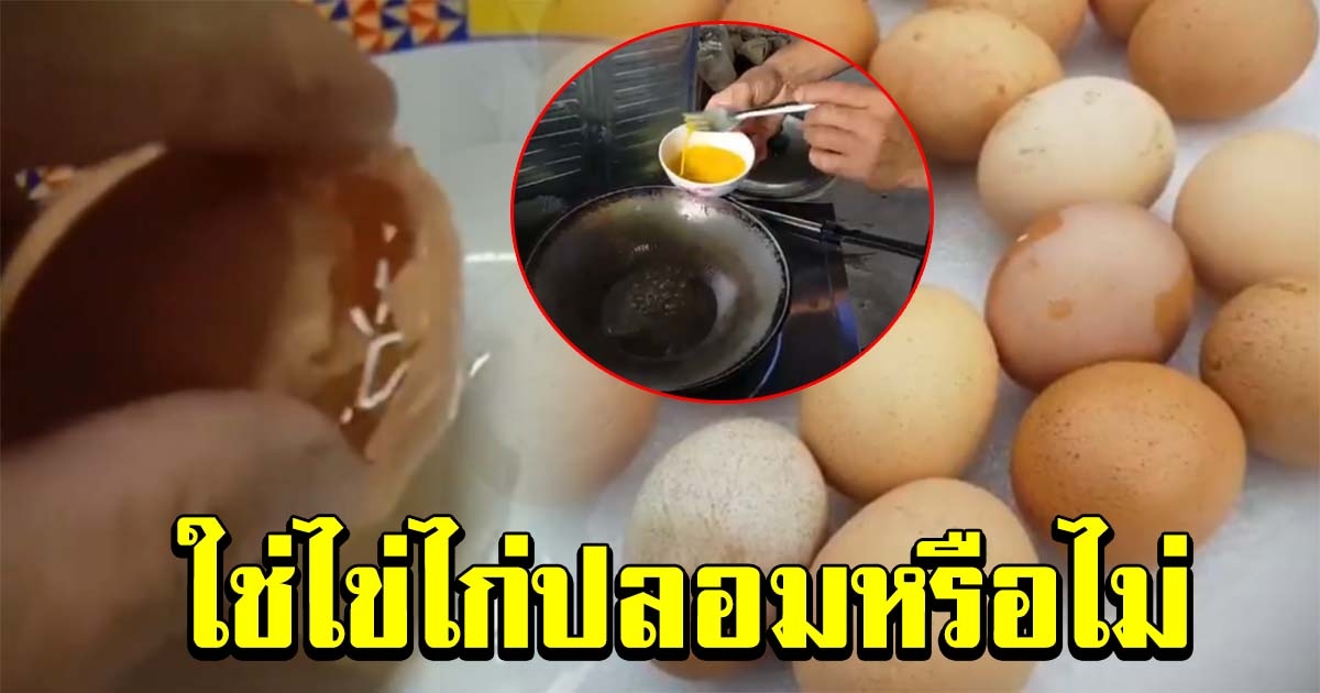 ชาวบ้านร้อง เจอไข่ไก่ปลอม วอนเจ้าหน้าที่ตรวจสอบ
