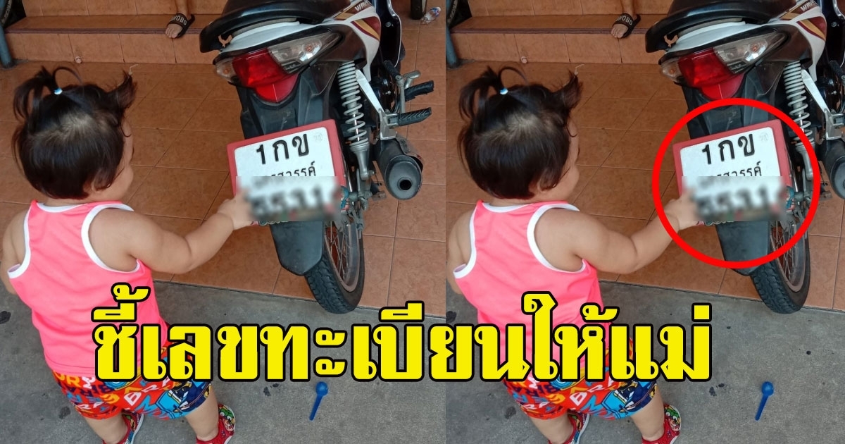 สาวน้อย ชี้เลขทะเบียนให้แม่ 1 มิถุนายนนี้ มาแน่