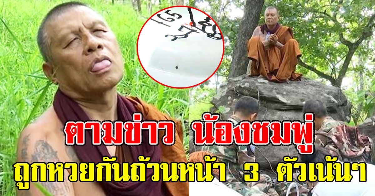 โซเชียล ตามข่าว น้องชมพู่ ถูกหวยกันถ้วนหน้า 3 ตัวเน้นๆ