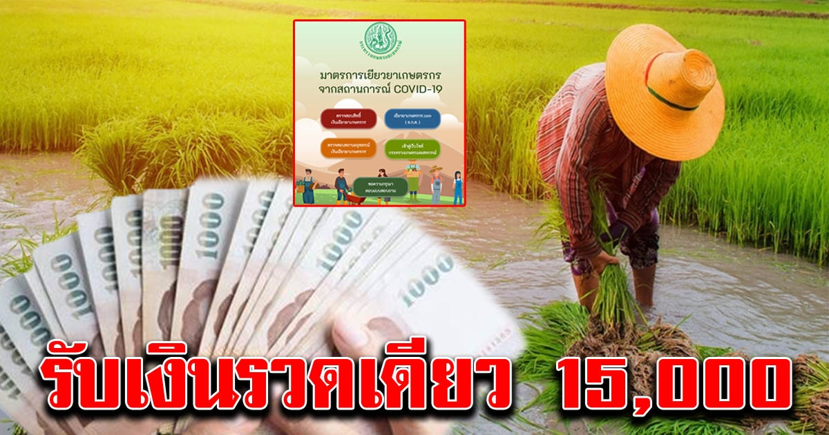 เงื่อนไขรับเงินช่วยเหลือเกษตรกร ทีเดียว 15000