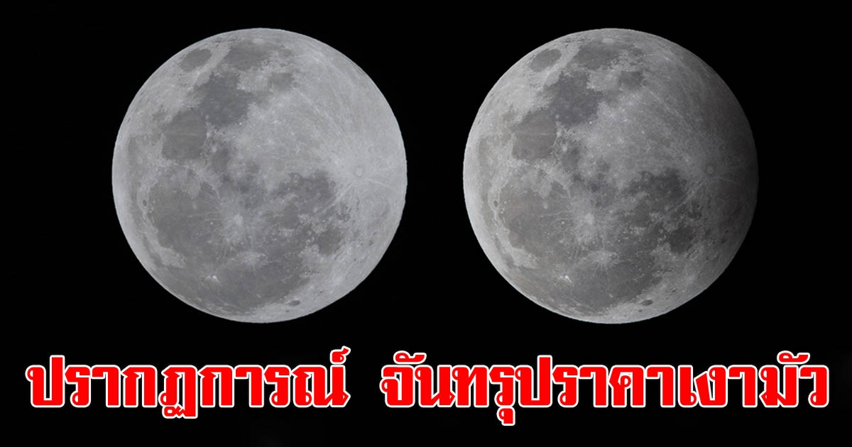 สดร เผยอาจจะได้เห็นปรากฏการณ์ จันทรุปราคาเงามัว