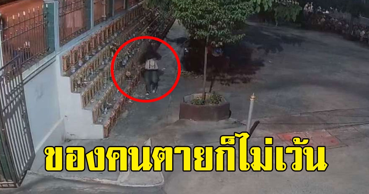 ชายปริศนา แอบย่องเข้าวัดกลางดึก ก่อนสร้างวีรกรรมแสบกลางวัด