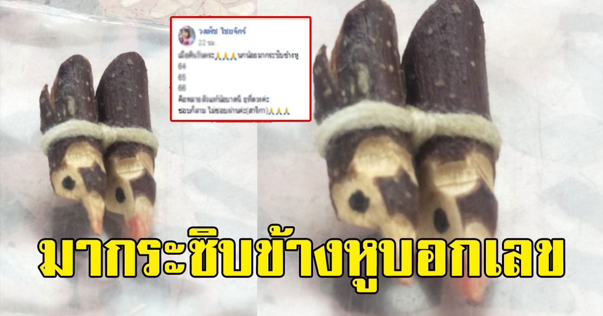 สาวโพสต์ คืนวันพระ นกน้อยมากระซิบข้างหูบอกเลข