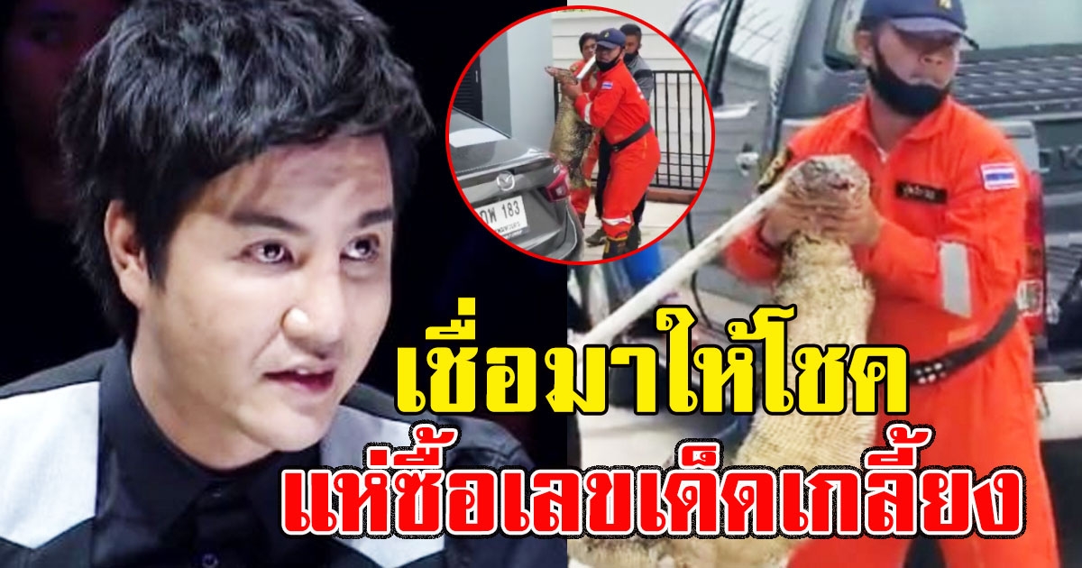 ริว จิตสัมผัส ถึงกับผวา ตัวเงินตัวทอง ตัวใหญ่โผล่เข้าบ้าน เชื่อมาให้โชค