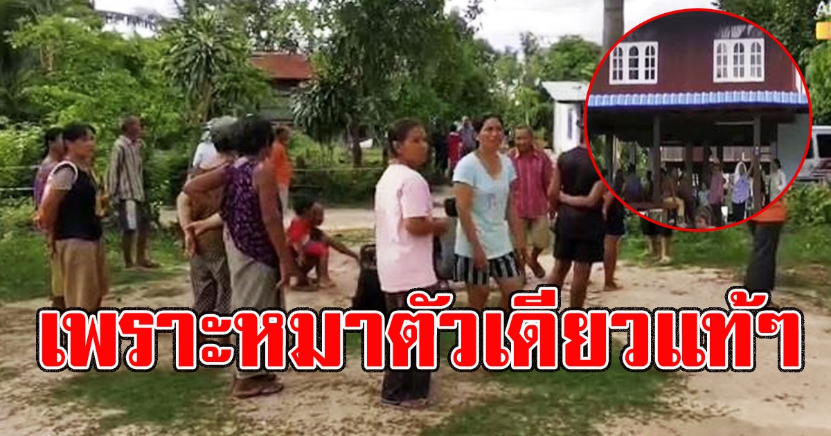 ภรรยาได้ยินเสียงปืนดัง1นัด เเต่ไม่กล้าไปดู ก่อนทราบสาเหตุสามีเหลืออด