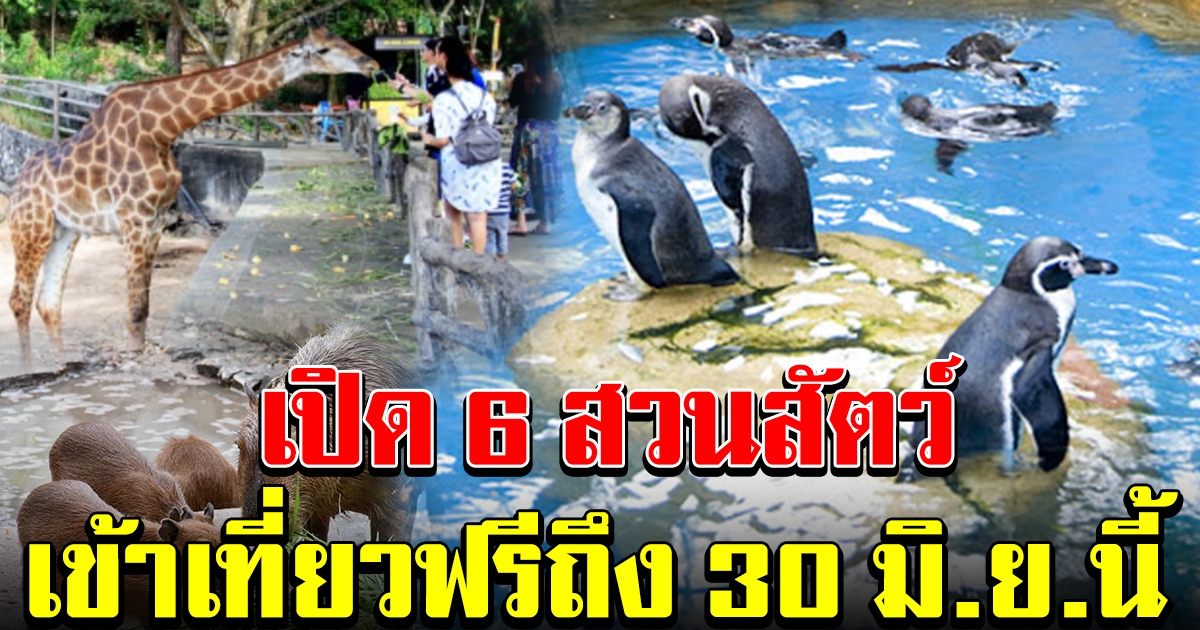 6 สวนสัตว์ เปิดเที่ยวฟรี