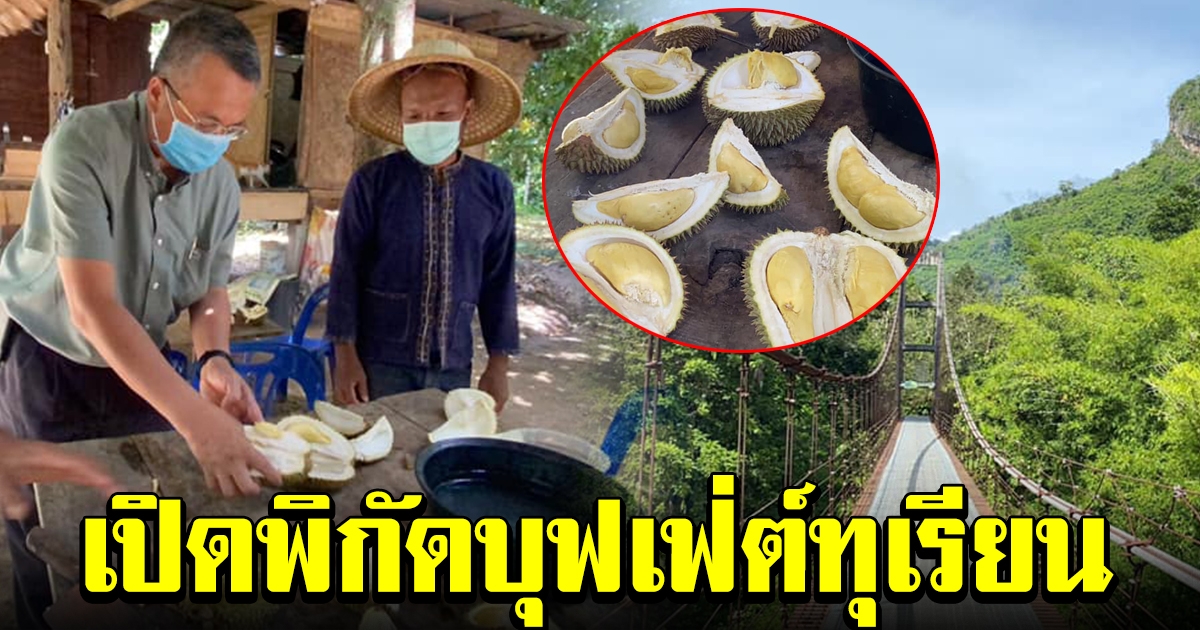 พิกัด บุฟเฟ่ต์ทุเรียน 100 ปี