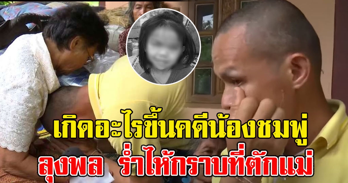 ลุงพล ร่ำไห้กราบที่ตักแม่ พูดความจริงในใจ ชัดเจน ฆ่า ไม่ฆ่า