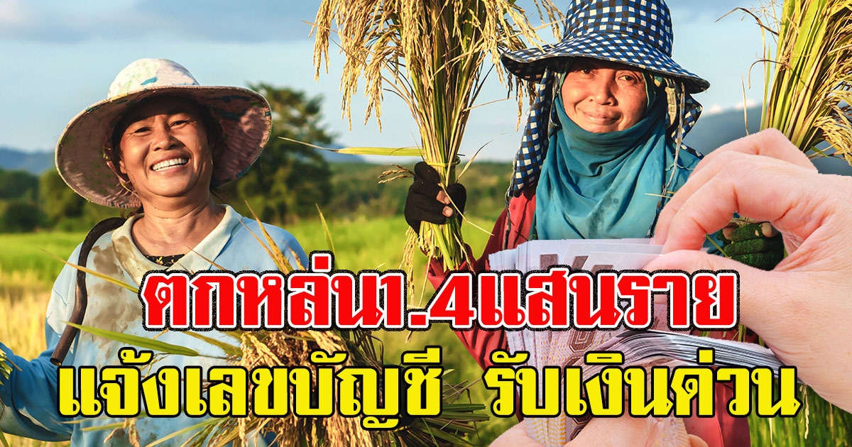 รีบๆเช็ก เกษตรกรตกหล่น1.4แสนราย แจ้งเลขบัญชี รับเงินด่วน