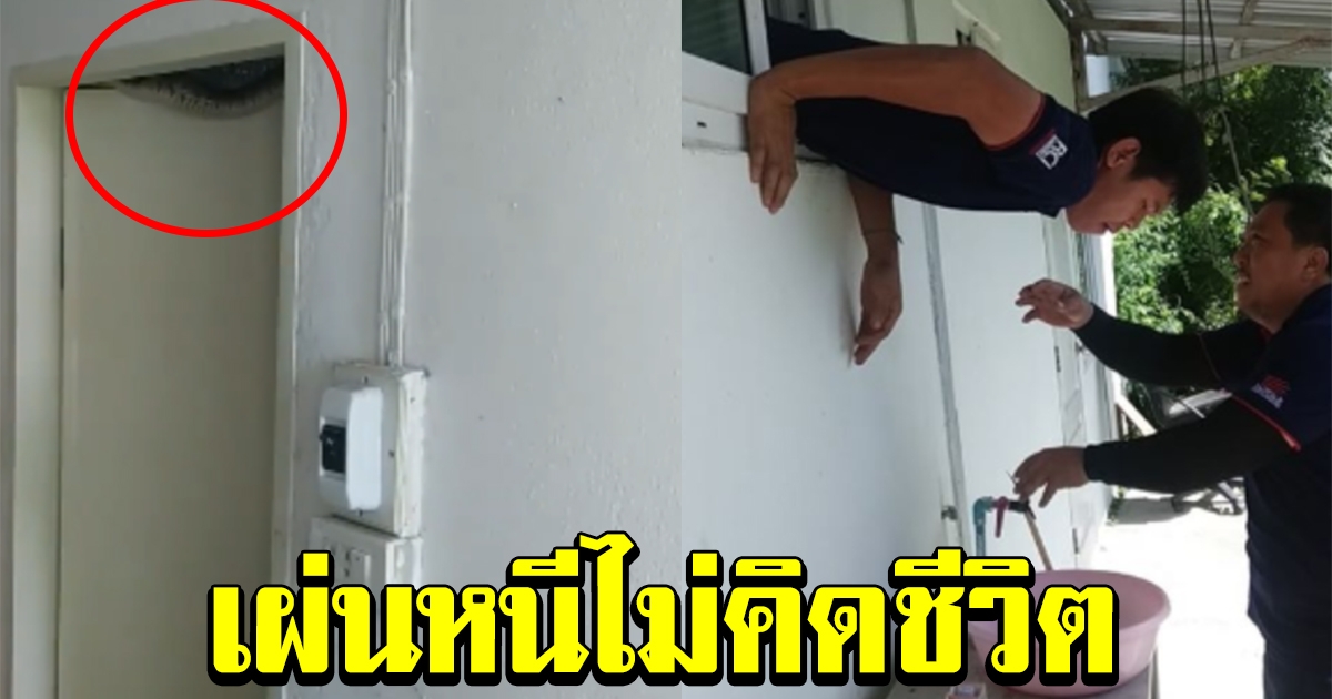 หนุ่มเข้าห้องน้ำ แหงนมองที่ประตู รีบกระโดดออกช่องลม หนีไม่คิดชีวิต