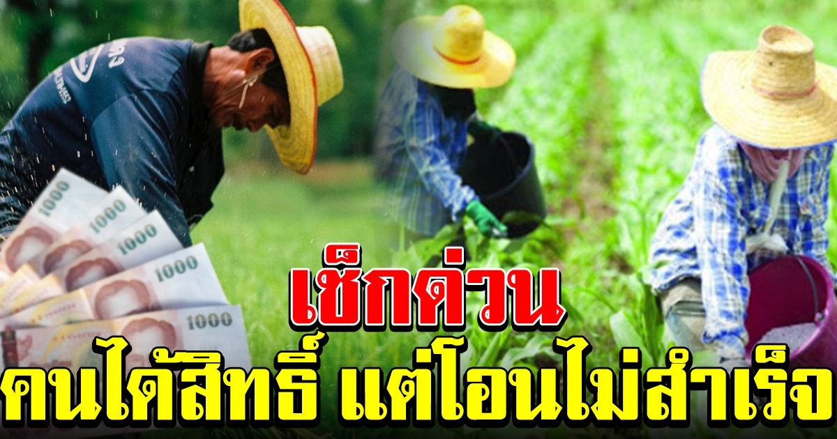 พบเกษตรกรด้านพืช ได้สิทธิ์รับเงิน แต่โอนไม่สำเร็จกว่า 7 หมื่นราย