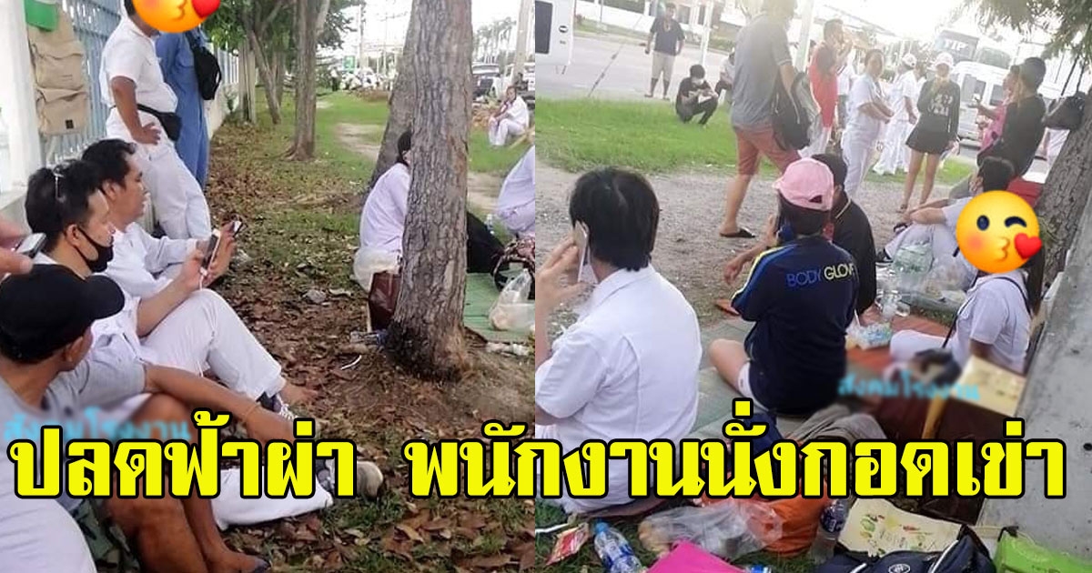 ปลดฟ้าผ่า พนักงานนั่งกอดเข่า บริษัทผลิตโช๊คอัพชื่อดัง อมตะชลบุรี