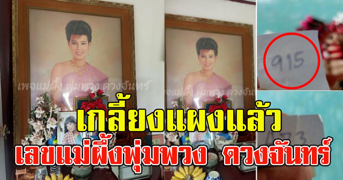 มาแล้ว เลขแม่ผึ้งพุ่มพวง ดวงจันทร์