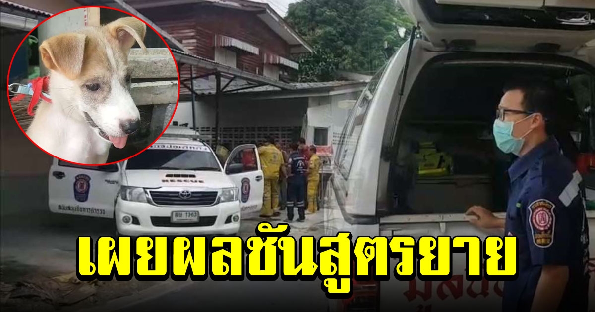 ผลการชันสูตรยาย หลังพบสุนัขบางแก้ว แทะกินใบหน้า