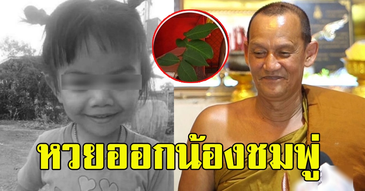 พระนิ้งหน่อง พูดชัด หวยออกน้องชมพู่ ถือใบชมพู่ให้เห็นจำนวนชัดเจน
