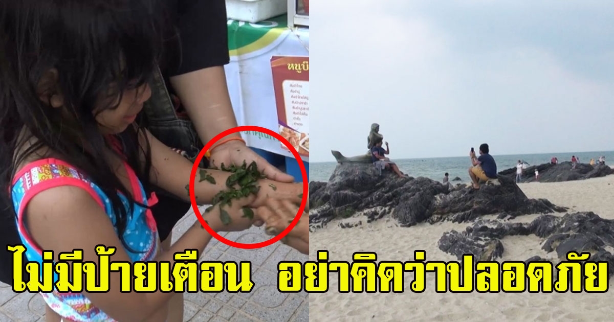 หนูน้อยวัย 7 ขวบ ลงไปเล่นน้ำทะเลอย่างสบายใจ ก่อนหวีดร้องดังลั่นหาด