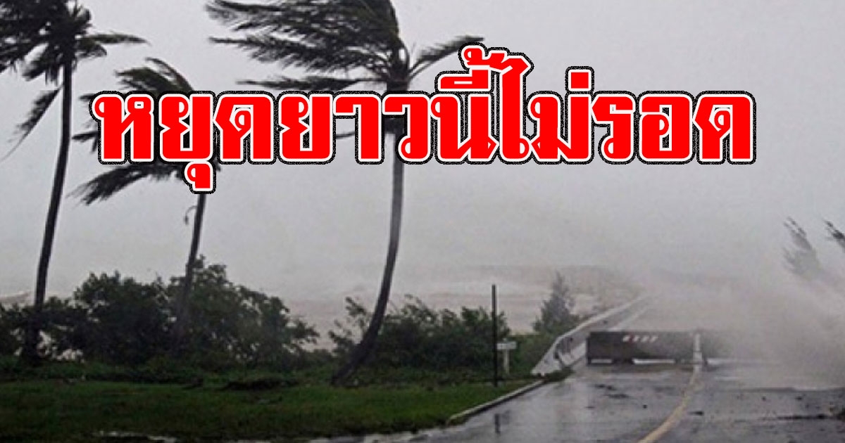 หยุดยาวนี้ไม่สนุก กรมอุตุฯเตือน 3-9 ก.ค. มีฝนตกฟ้าคะนองต่อเนื่อง