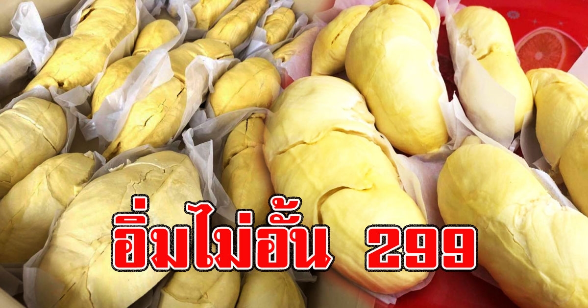 แห่ถามหาพิกัด บุฟเฟ่ต์ทุเรียนอิ่มไม่อั้น แค่ 299