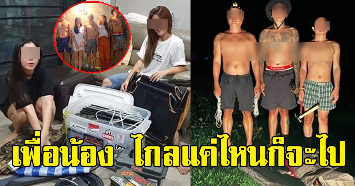 โซเชียลยอมใจ 3หนุ่ม บึ่งรถ 8ชม.ไปกางเต็นท์ หลัง2สาวโสดโพสต์หาเพื่อนร่วมทริป