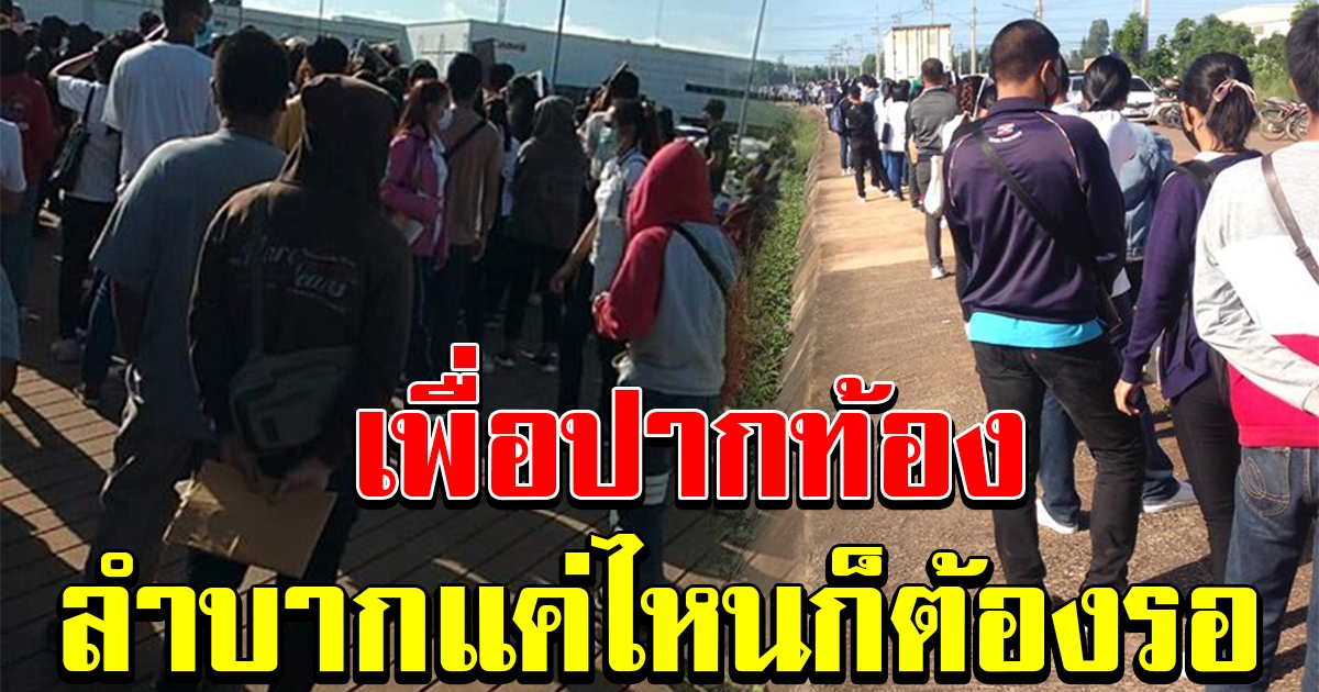 คนแห่สมัครงาน มืดฟ้ามัวดิน