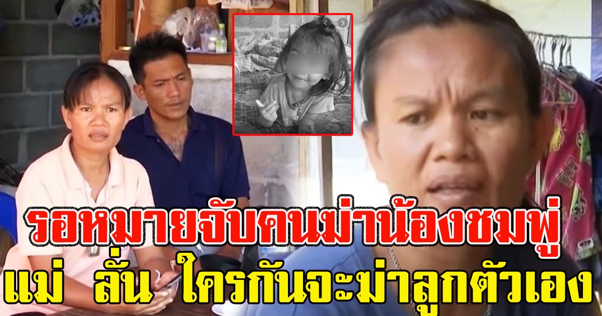 หมายจับคนฆ่าน้องชมพู่ ให้รอฟังจากปากผู้การ แม่ ลั่น ใครกันจะฆ่าลูกตัวเอง