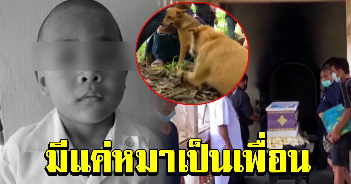 สุดสงสาร น้องกานต์ ชีวิตหดหู่มีหมากับตุ๊กตาตะนอยเป็นเพื่อน แม่โต้ไม่ได้ทิ้ง เผยพ่อไม่ยอมให้